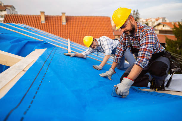 Best Roof Moss and Algae Removal  in Cheverly, MD